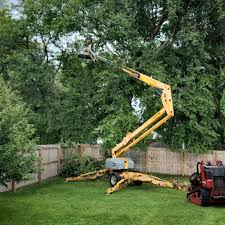 Best Tree Mulching  in Baldwinsville, NY