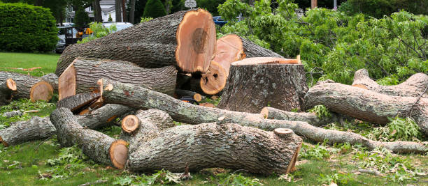 Best Leaf Removal  in Baldwinsville, NY